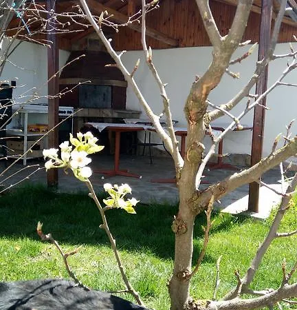 Guest house Betty